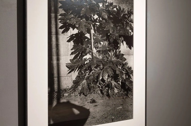 森山大道　写真展「サン・ルゥへの手紙」